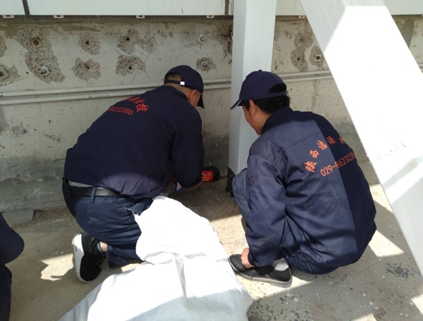 如何選擇西安滅老鼠公司？