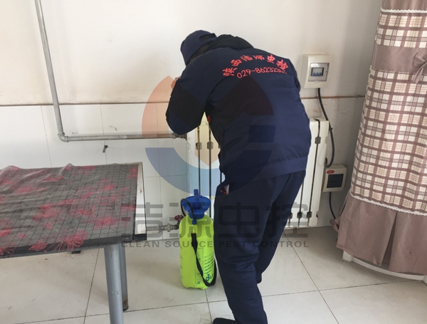 滅蟑螂價格