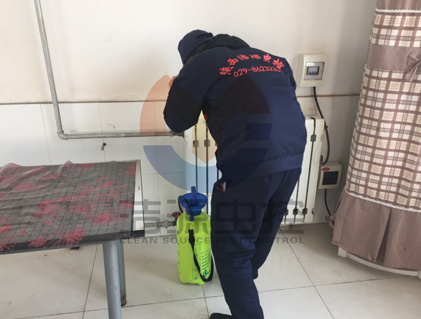 滅蟑螂價格