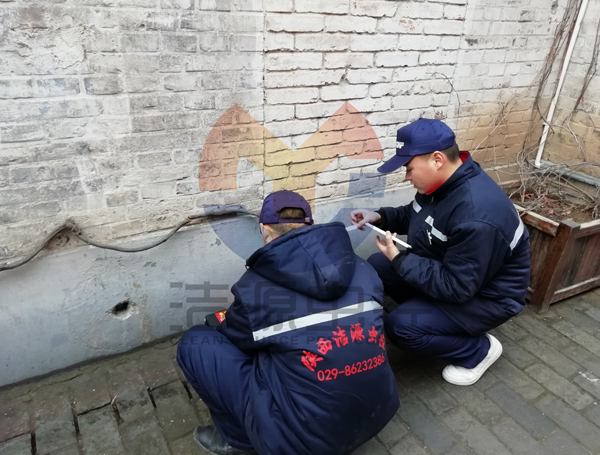 西安滅鼠公司