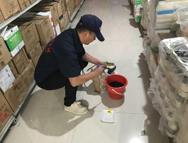 西安消殺公司