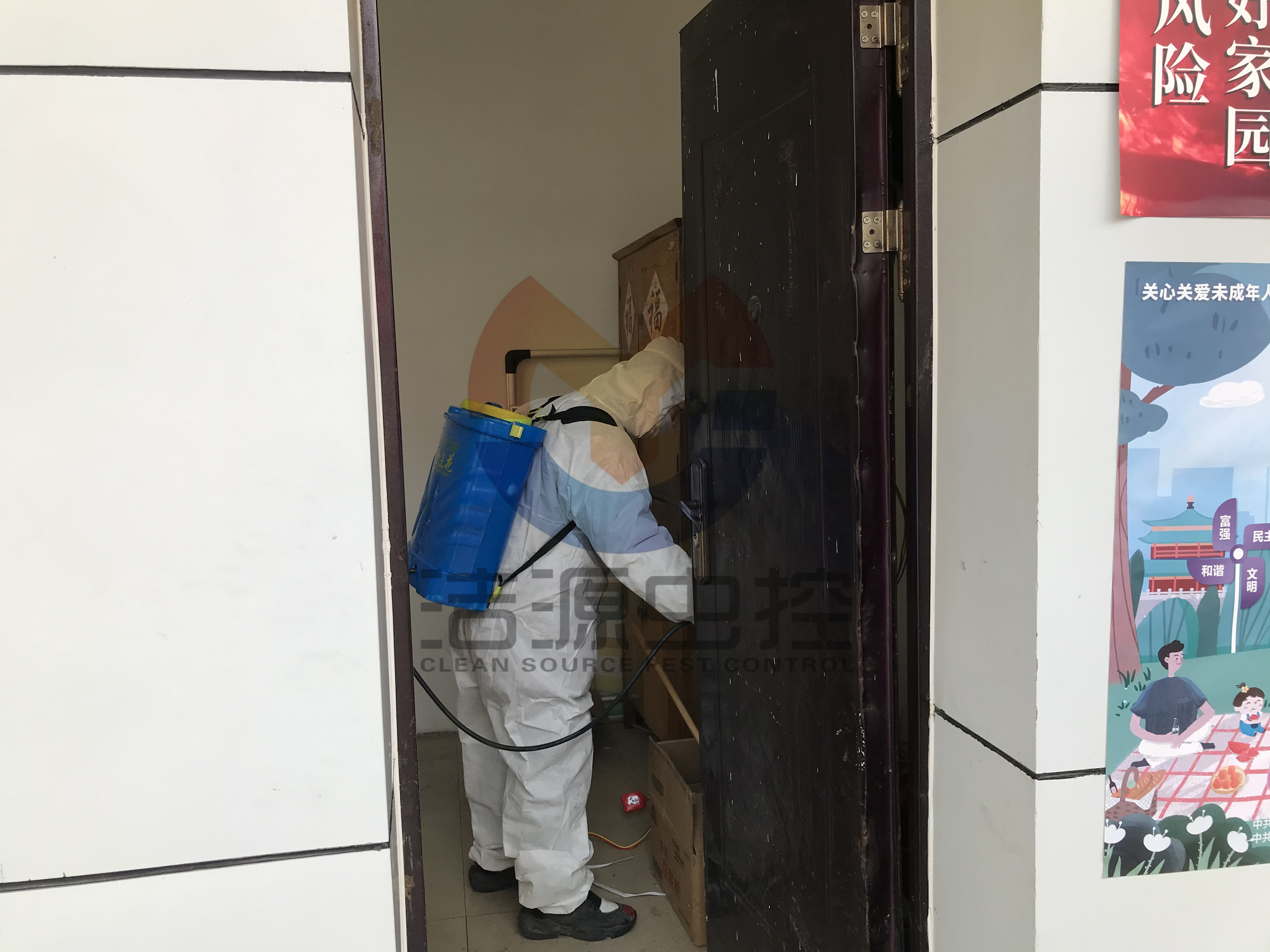 西安滅蟑螂