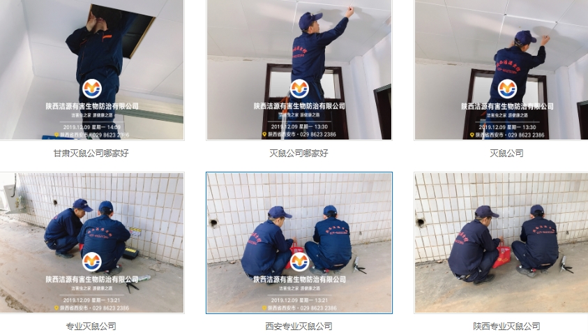 西安滅老鼠公司