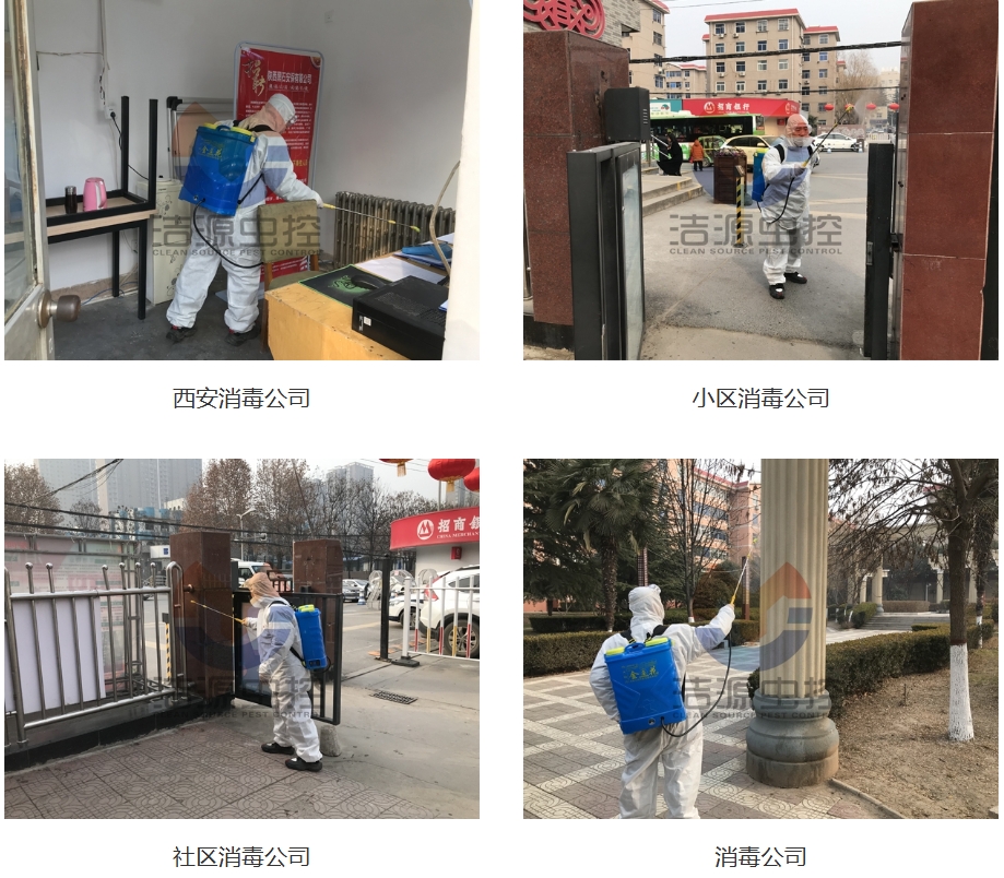 西安消殺公司